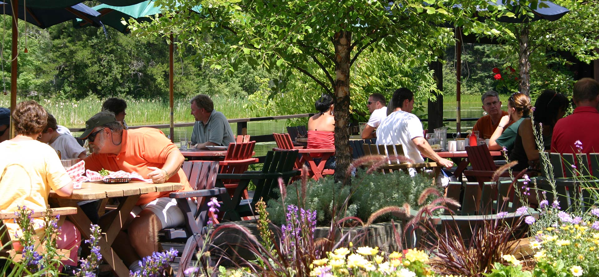 Fred Scheer's Lumberjack Village A Family Adventure in the North